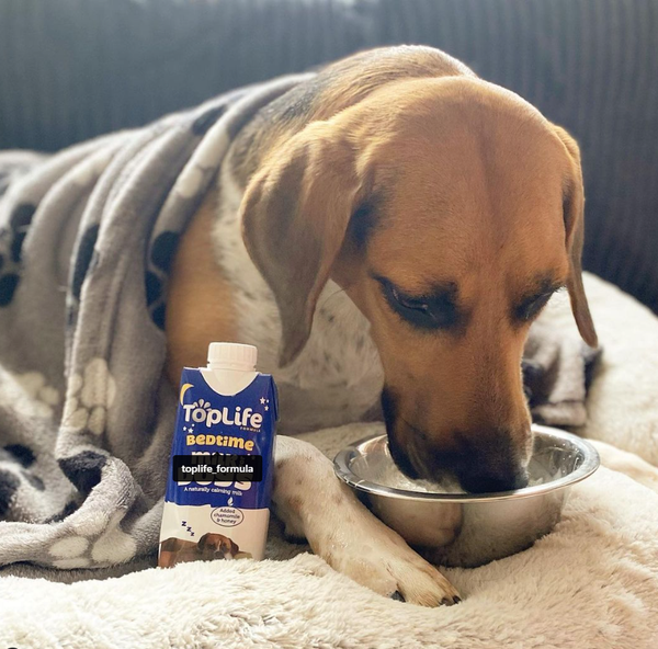 TopLife Calming Box for Dogs