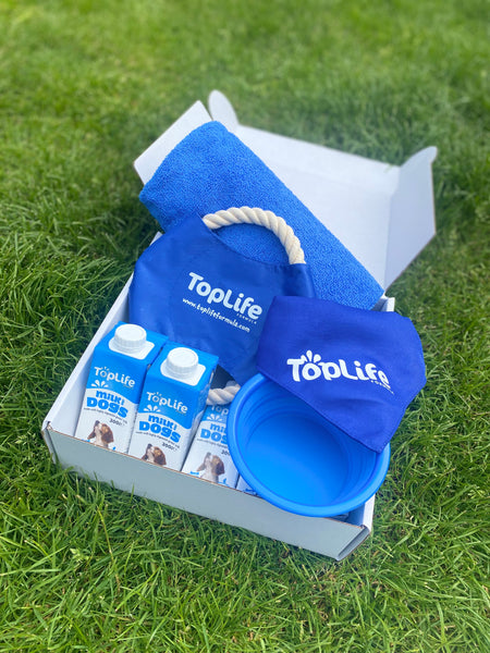 TopLife Activity Box for Dogs