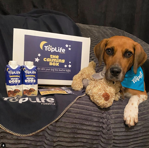 TopLife Calming Box for Dogs