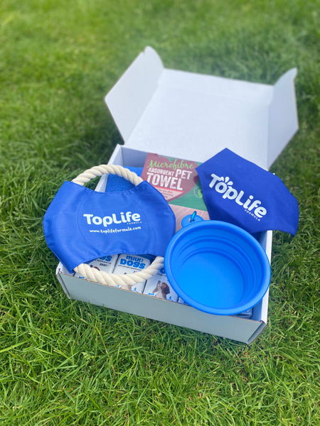 TopLife Activity Box for Dogs